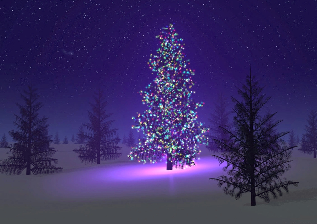 beautiful-christmas-tree