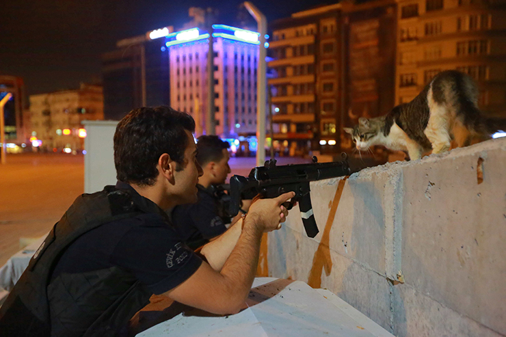 A cat looks on as a policeman aims his weapon during an attempted coup, in Istanbul, Turkey July 16, 2016. REUTERS/Kemal Aslan TPX IMAGES OF THE DAY